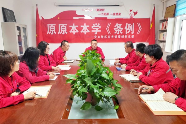 平朔集團基層黨組織利用黨員大會原原本本、逐章逐條學習《中國共產黨紀律處分條例》.jpg